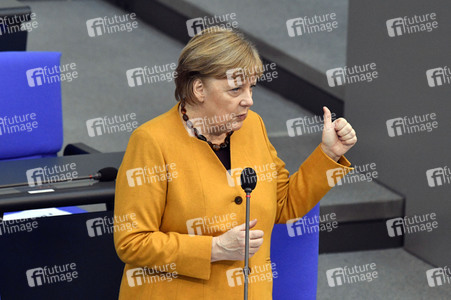 217. Sitzung des Deutschen Bundestages in Berlin