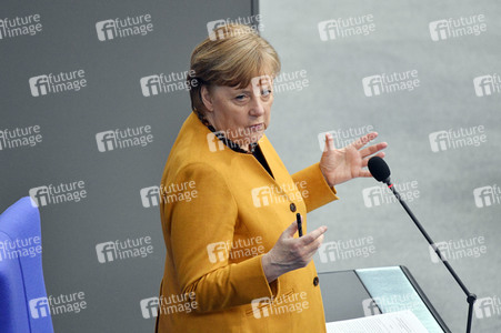 217. Sitzung des Deutschen Bundestages in Berlin