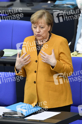 217. Sitzung des Deutschen Bundestages in Berlin