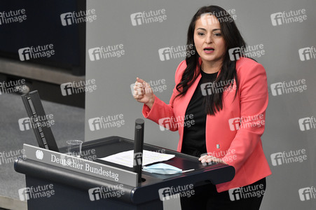 217. Sitzung des Deutschen Bundestages in Berlin