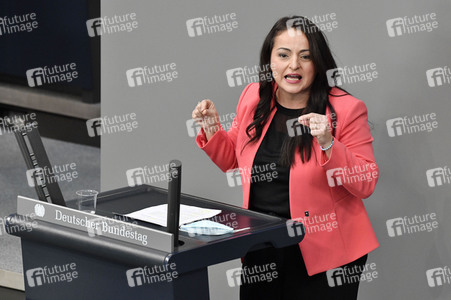 217. Sitzung des Deutschen Bundestages in Berlin