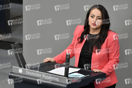 217. Sitzung des Deutschen Bundestages in Berlin