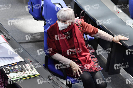 217. Sitzung des Deutschen Bundestages in Berlin