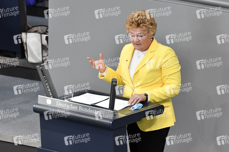 217. Sitzung des Deutschen Bundestages in Berlin