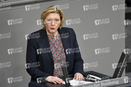 217. Sitzung des Deutschen Bundestages in Berlin