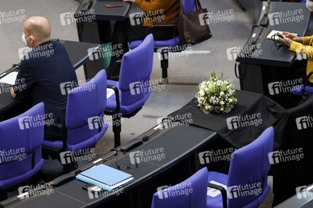 217. Sitzung des Deutschen Bundestages in Berlin