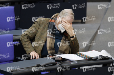 217. Sitzung des Deutschen Bundestages in Berlin