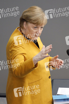 217. Sitzung des Deutschen Bundestages in Berlin