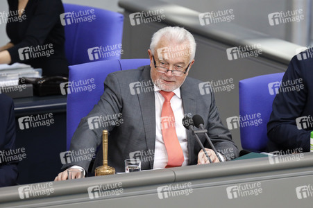 217. Sitzung des Deutschen Bundestages in Berlin