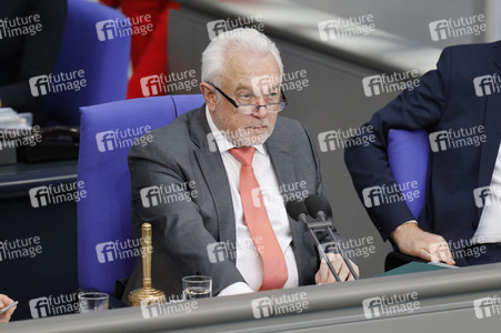 217. Sitzung des Deutschen Bundestages in Berlin