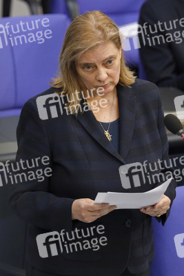 217. Sitzung des Deutschen Bundestages in Berlin