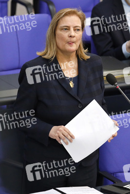 217. Sitzung des Deutschen Bundestages in Berlin