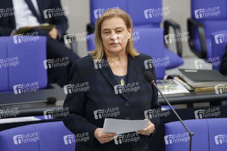 217. Sitzung des Deutschen Bundestages in Berlin