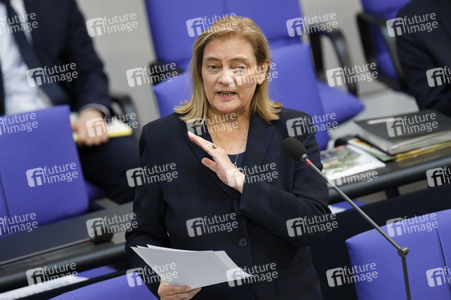 217. Sitzung des Deutschen Bundestages in Berlin