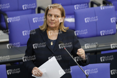 217. Sitzung des Deutschen Bundestages in Berlin