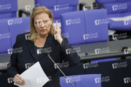 217. Sitzung des Deutschen Bundestages in Berlin