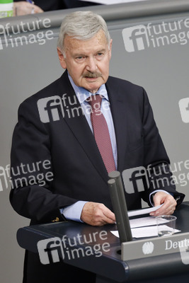 217. Sitzung des Deutschen Bundestages in Berlin