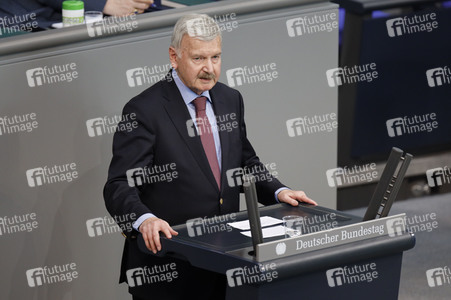 217. Sitzung des Deutschen Bundestages in Berlin