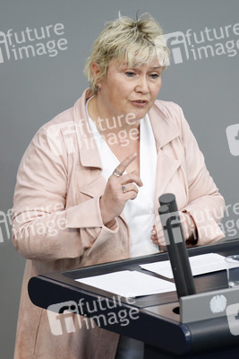 217. Sitzung des Deutschen Bundestages in Berlin