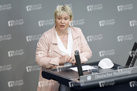 217. Sitzung des Deutschen Bundestages in Berlin