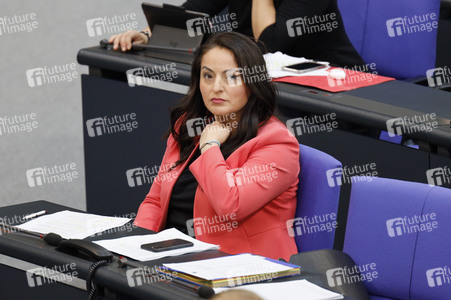 217. Sitzung des Deutschen Bundestages in Berlin