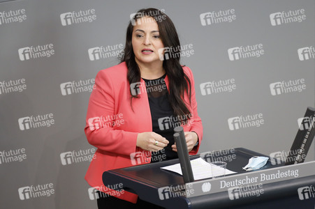 217. Sitzung des Deutschen Bundestages in Berlin