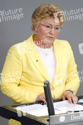 217. Sitzung des Deutschen Bundestages in Berlin