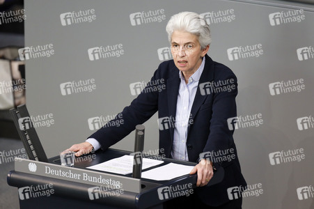 217. Sitzung des Deutschen Bundestages in Berlin