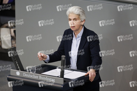 217. Sitzung des Deutschen Bundestages in Berlin