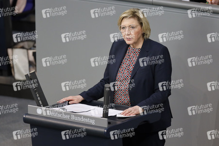 217. Sitzung des Deutschen Bundestages in Berlin