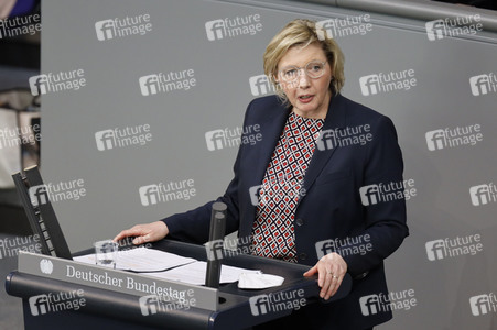 217. Sitzung des Deutschen Bundestages in Berlin