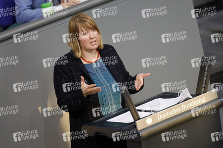 217. Sitzung des Deutschen Bundestages in Berlin