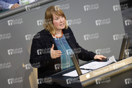 217. Sitzung des Deutschen Bundestages in Berlin