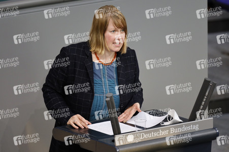 217. Sitzung des Deutschen Bundestages in Berlin