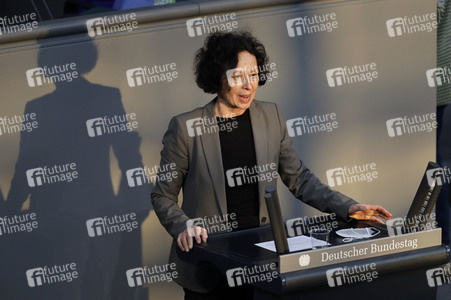 217. Sitzung des Deutschen Bundestages in Berlin