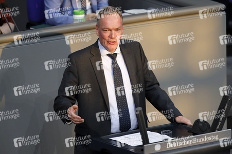 217. Sitzung des Deutschen Bundestages in Berlin