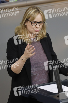 217. Sitzung des Deutschen Bundestages in Berlin