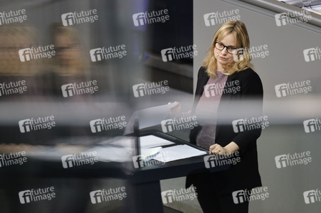 217. Sitzung des Deutschen Bundestages in Berlin