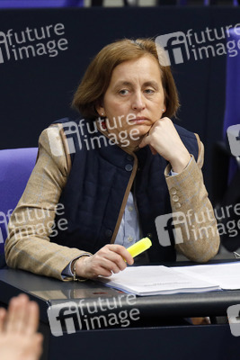 217. Sitzung des Deutschen Bundestages in Berlin