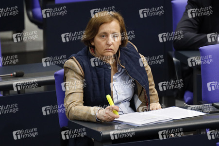 217. Sitzung des Deutschen Bundestages in Berlin