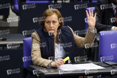 217. Sitzung des Deutschen Bundestages in Berlin