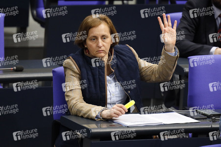 217. Sitzung des Deutschen Bundestages in Berlin