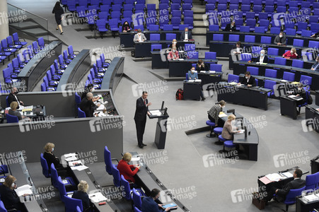 219. Sitzung des Deutschen Bundestages in Berlin