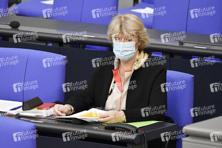 219. Sitzung des Deutschen Bundestages in Berlin