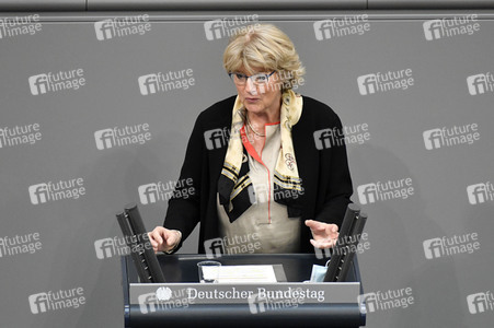 219. Sitzung des Deutschen Bundestages in Berlin