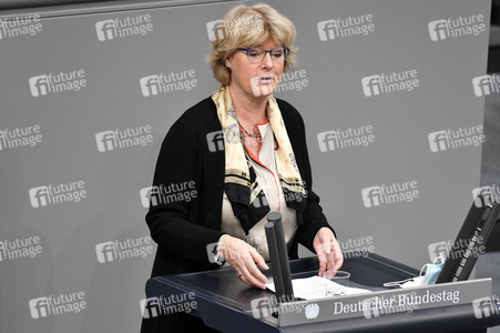 219. Sitzung des Deutschen Bundestages in Berlin