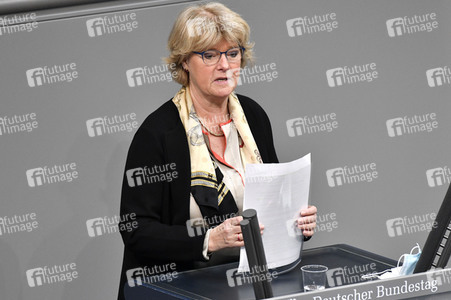 219. Sitzung des Deutschen Bundestages in Berlin