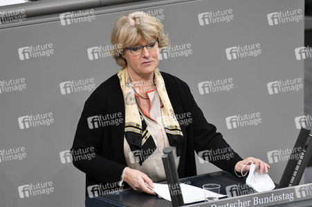 219. Sitzung des Deutschen Bundestages in Berlin