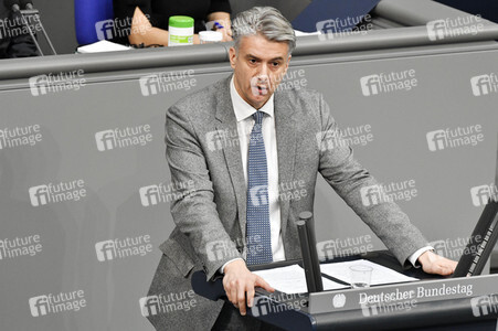 219. Sitzung des Deutschen Bundestages in Berlin