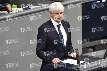 219. Sitzung des Deutschen Bundestages in Berlin